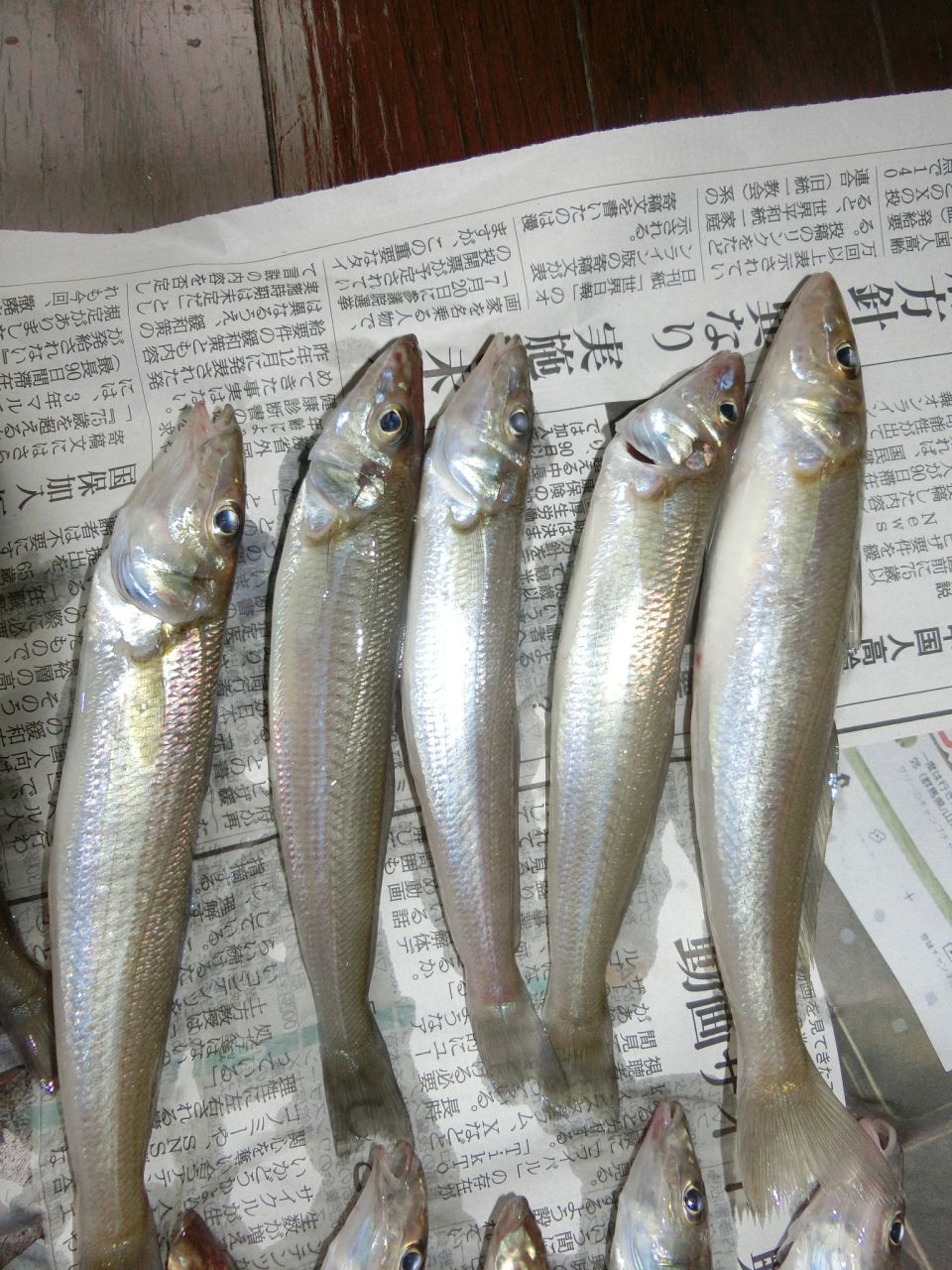 ファイル 124-2.jpg